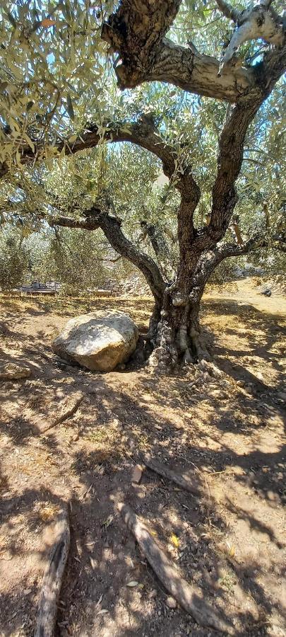 The Byzantine Wall House Isthmia Exterior foto